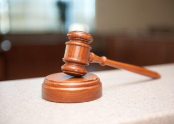 Denuncia al centro ippico di Mapello: assolta Nicole Berlusconi