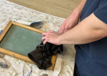 Crescere, creare, condividere: il mondo di Punto e Virgola