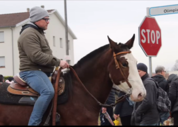 Mariano di Dalmine, rivive la tradizione contadina: cavalli e animali in festa per Sant’Antonio