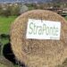 Domenica 22 marzo scatta la 6ª StraPonte: tre percorsi tra sport e beneficenza
