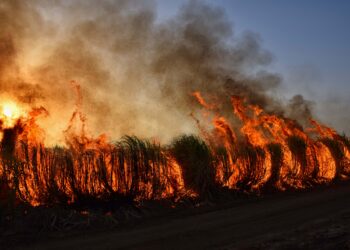 Incendi boschivi in Lombardia, emergenza e massima prudenza: il Centro Operativo di Curno coordina i soccorsi su tutto il territorio regionale