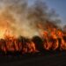 Incendi boschivi in Lombardia, emergenza e massima prudenza: il Centro Operativo di Curno coordina i soccorsi su tutto il territorio regionale